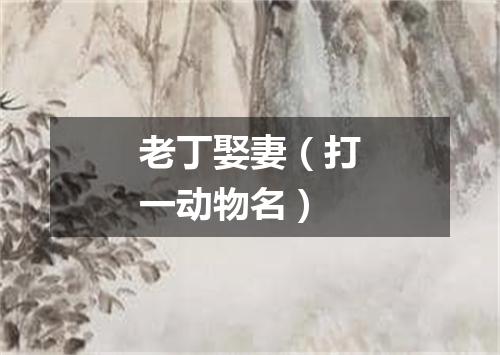 老丁娶妻（打一动物名）