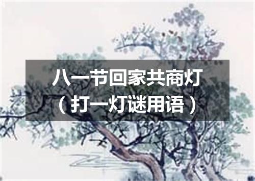 八一节回家共商灯（打一灯谜用语）