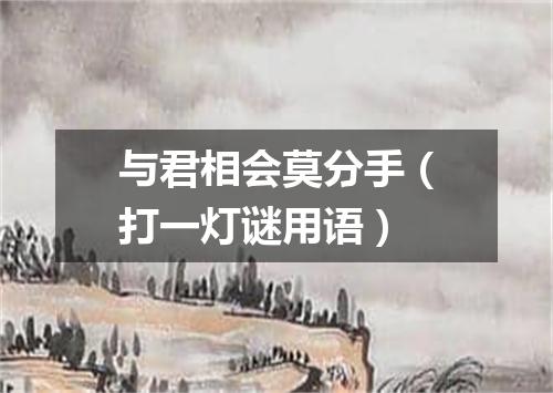 与君相会莫分手（打一灯谜用语）