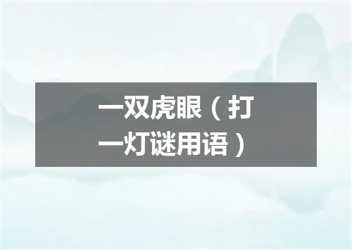 一双虎眼（打一灯谜用语）