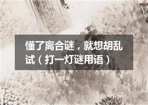 懂了离合谜，就想胡乱试（打一灯谜用语）