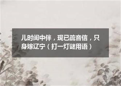 儿时闺中伴，现已疏音信，只身嫁辽宁（打一灯谜用语）