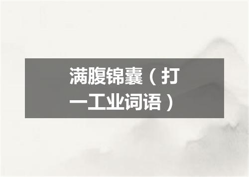 满腹锦囊（打一工业词语）