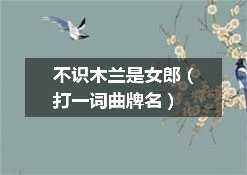 不识木兰是女郎（打一词曲牌名）