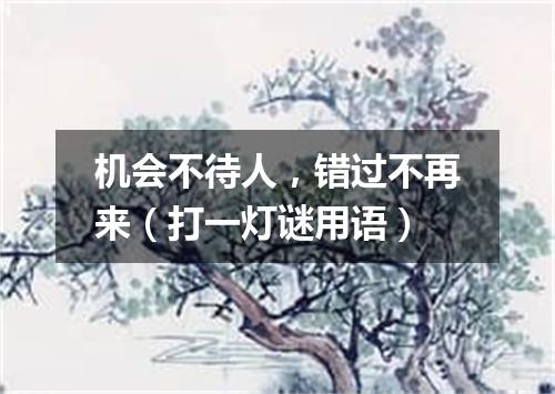 机会不待人，错过不再来（打一灯谜用语）