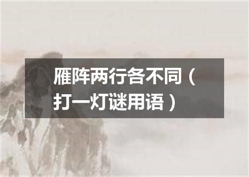 雁阵两行各不同（打一灯谜用语）