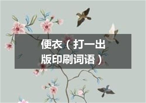 便衣（打一出版印刷词语）