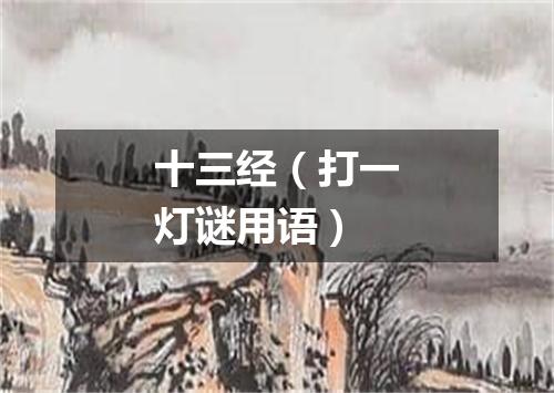 十三经（打一灯谜用语）