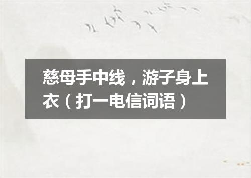 慈母手中线，游子身上衣（打一电信词语）
