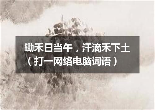 锄禾日当午，汗滴禾下土（打一网络电脑词语）