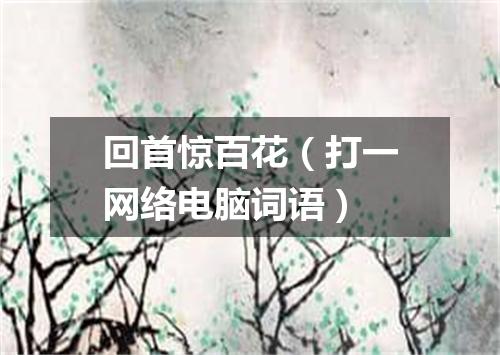回首惊百花（打一网络电脑词语）
