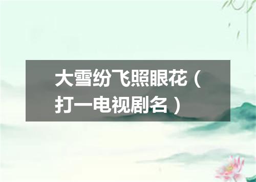 大雪纷飞照眼花（打一电视剧名）