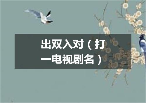 出双入对（打一电视剧名）