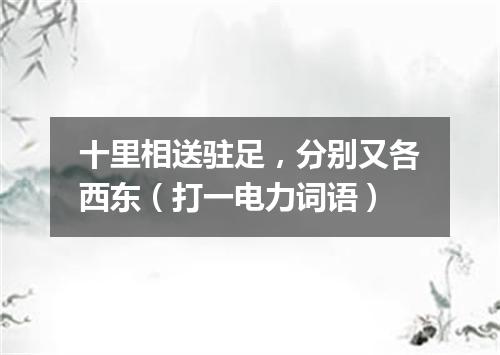 十里相送驻足，分别又各西东（打一电力词语）