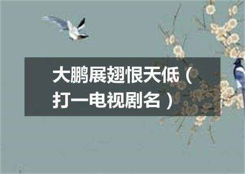 大鹏展翅恨天低（打一电视剧名）
