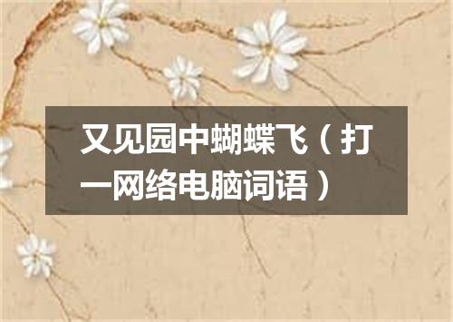 又见园中蝴蝶飞（打一网络电脑词语）