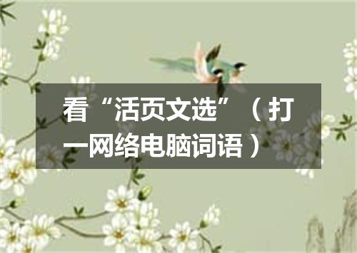 看“活页文选”（打一网络电脑词语）