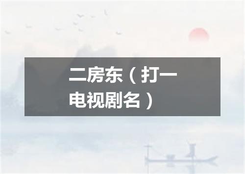 二房东（打一电视剧名）