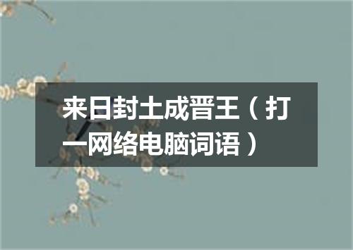 来日封土成晋王（打一网络电脑词语）