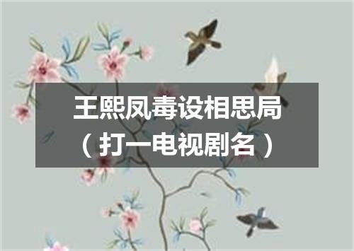 王熙凤毒设相思局（打一电视剧名）