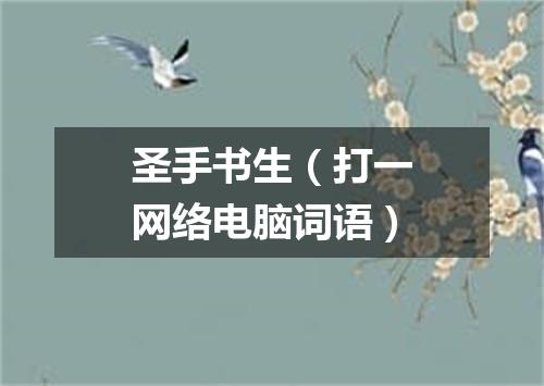 圣手书生（打一网络电脑词语）