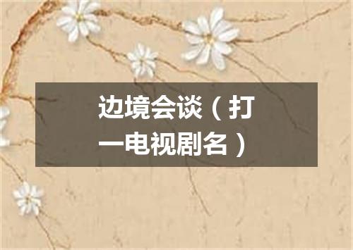 边境会谈（打一电视剧名）