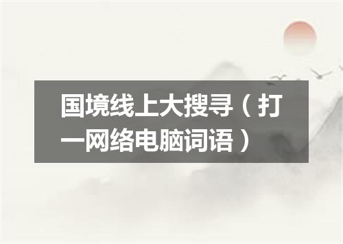 国境线上大搜寻（打一网络电脑词语）