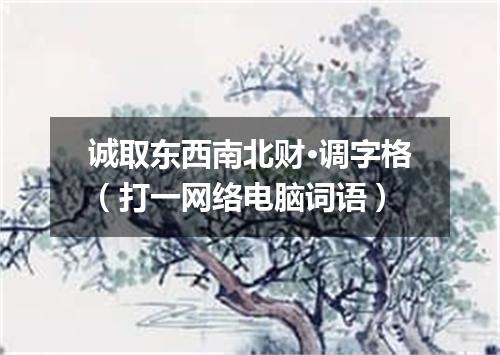 诚取东西南北财·调字格（打一网络电脑词语）
