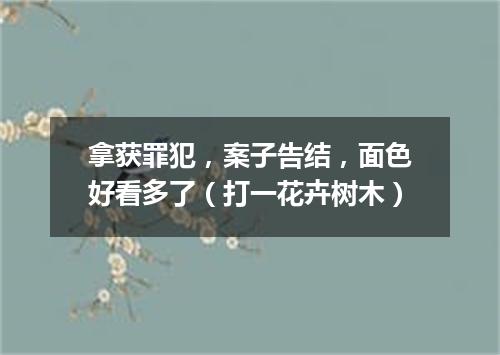 拿获罪犯，案子告结，面色好看多了（打一花卉树木）