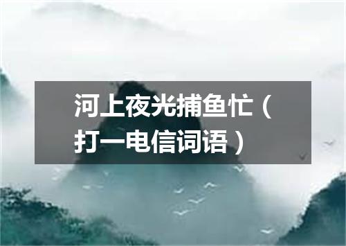 河上夜光捕鱼忙（打一电信词语）