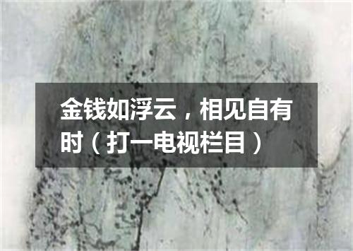 金钱如浮云，相见自有时（打一电视栏目）