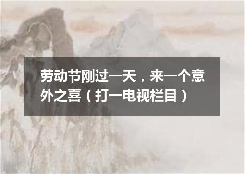 劳动节刚过一天，来一个意外之喜（打一电视栏目）