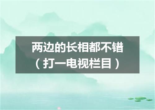 两边的长相都不错（打一电视栏目）