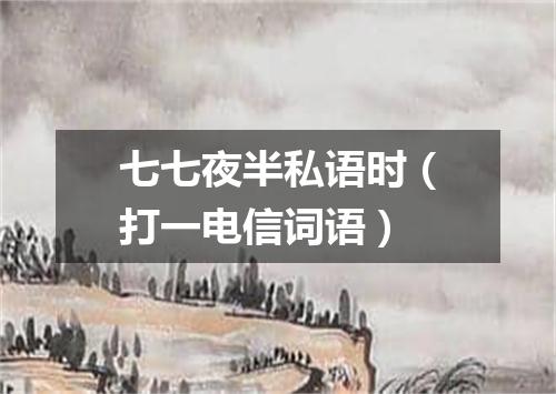 七七夜半私语时（打一电信词语）