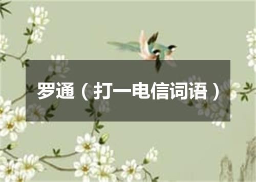 罗通（打一电信词语）