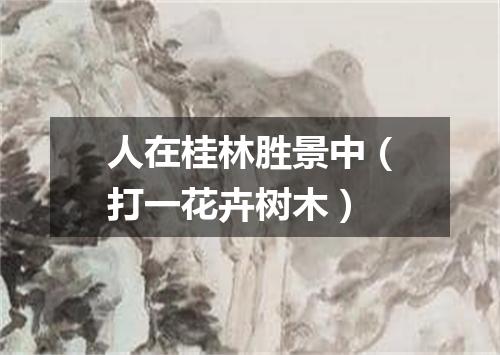 人在桂林胜景中（打一花卉树木）