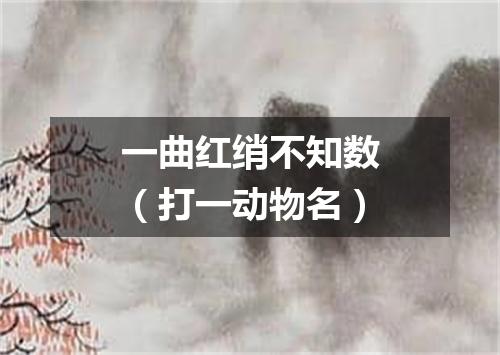 一曲红绡不知数（打一动物名）
