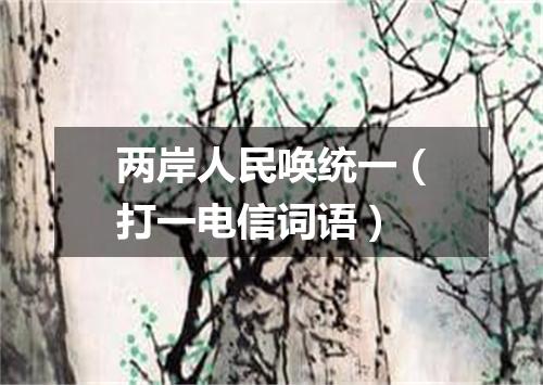 两岸人民唤统一（打一电信词语）