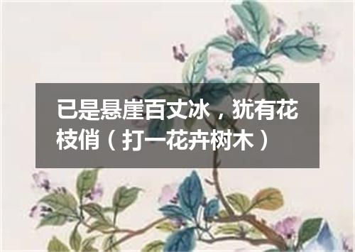 已是悬崖百丈冰，犹有花枝俏（打一花卉树木）