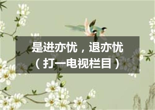 是进亦忧，退亦忧（打一电视栏目）