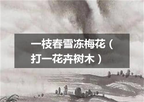 一枝春雪冻梅花（打一花卉树木）