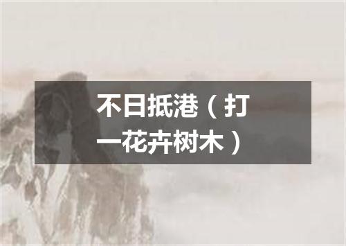 不日抵港（打一花卉树木）
