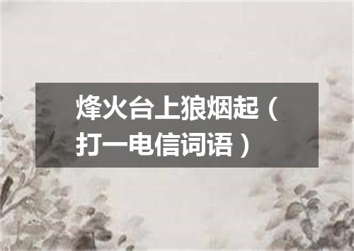 烽火台上狼烟起（打一电信词语）