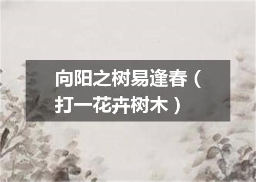 向阳之树易逢春（打一花卉树木）