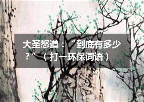 大圣怒道：“到底有多少？”（打一环保词语）