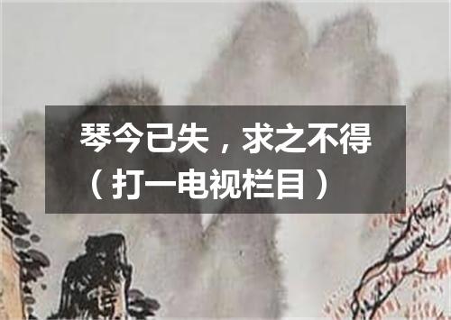 琴今已失，求之不得（打一电视栏目）