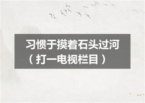 习惯于摸着石头过河（打一电视栏目）