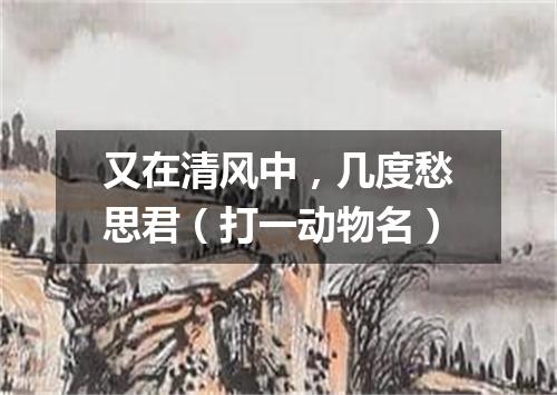 又在清风中，几度愁思君（打一动物名）