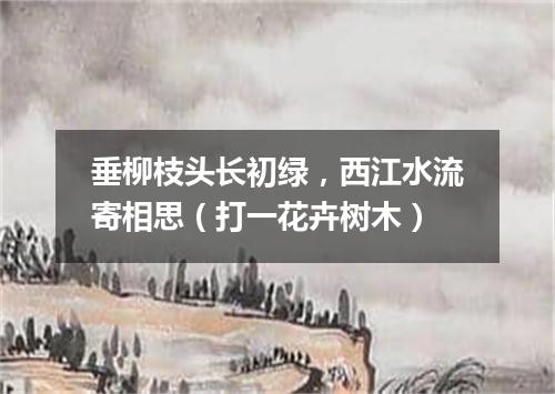 垂柳枝头长初绿，西江水流寄相思（打一花卉树木）