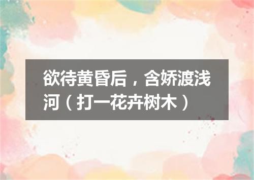 欲待黄昏后，含娇渡浅河（打一花卉树木）